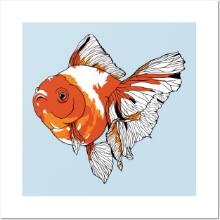 Goldfish Posters and Art